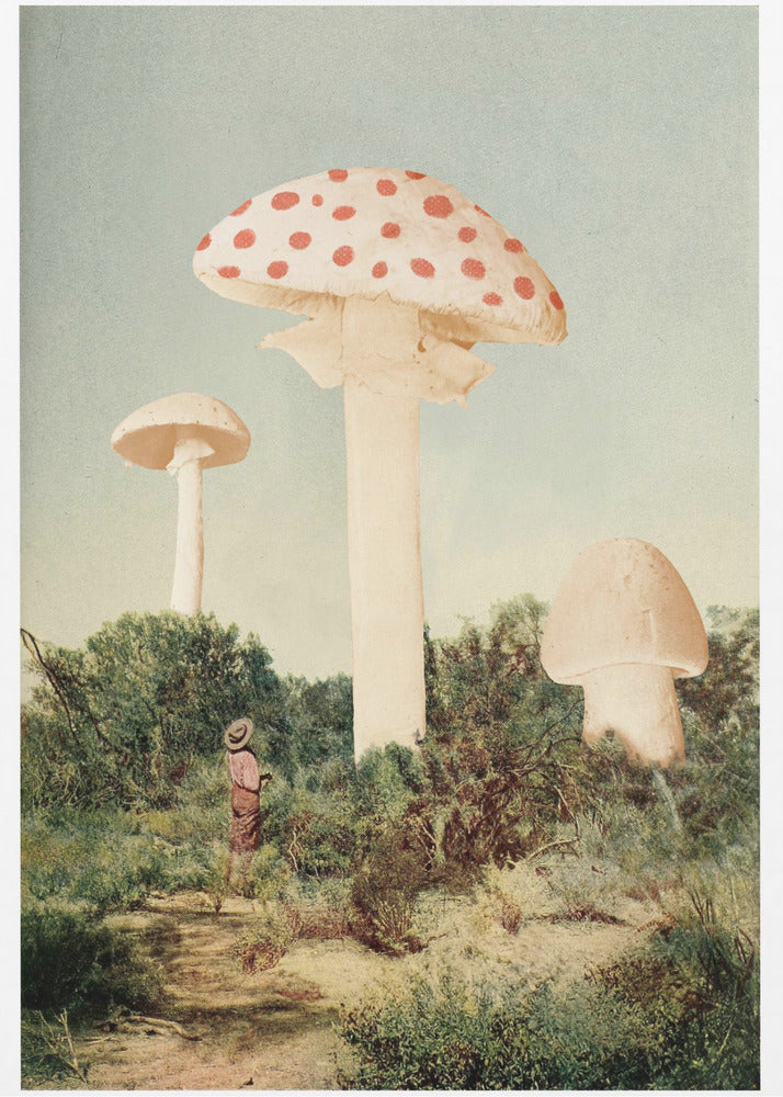 The Finest Giant Mushroom - Poster / Art Print