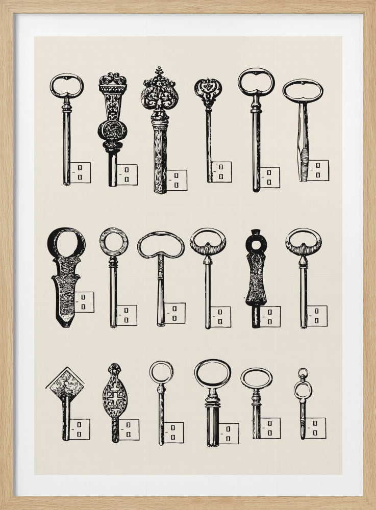 Usb Keys - Poster / Art Print