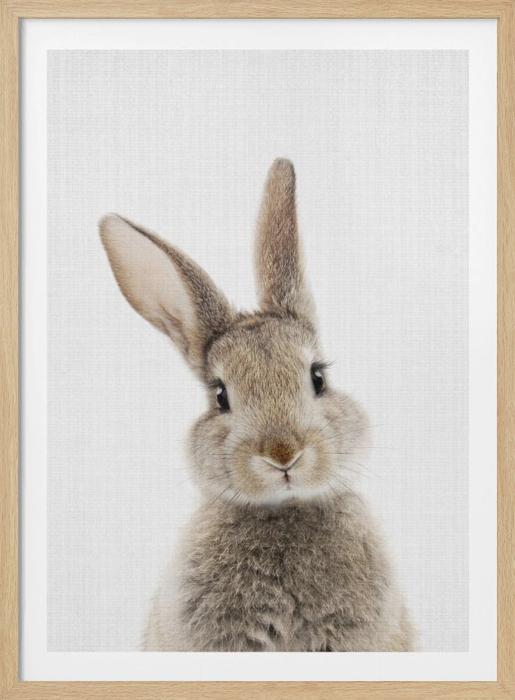 Peekaboo Bunny - Poster / Art Print