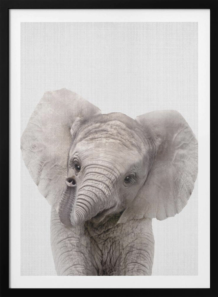 Peekaboo Baby Elephant - Poster / Art Print