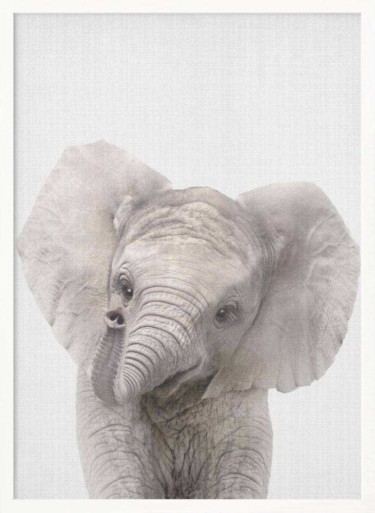 Peekaboo Baby Elephant - Poster / Art Print