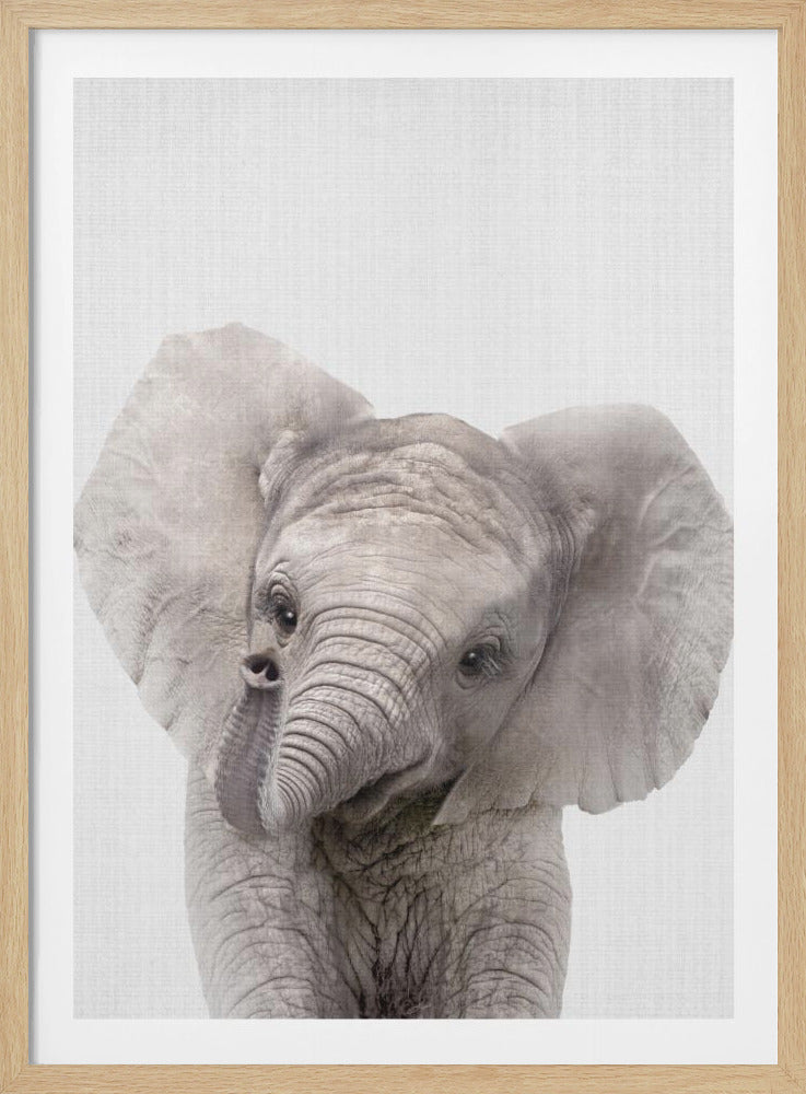 Peekaboo Baby Elephant - Poster / Art Print