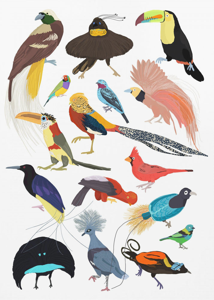 Birds of Paradise - Poster / Art Print