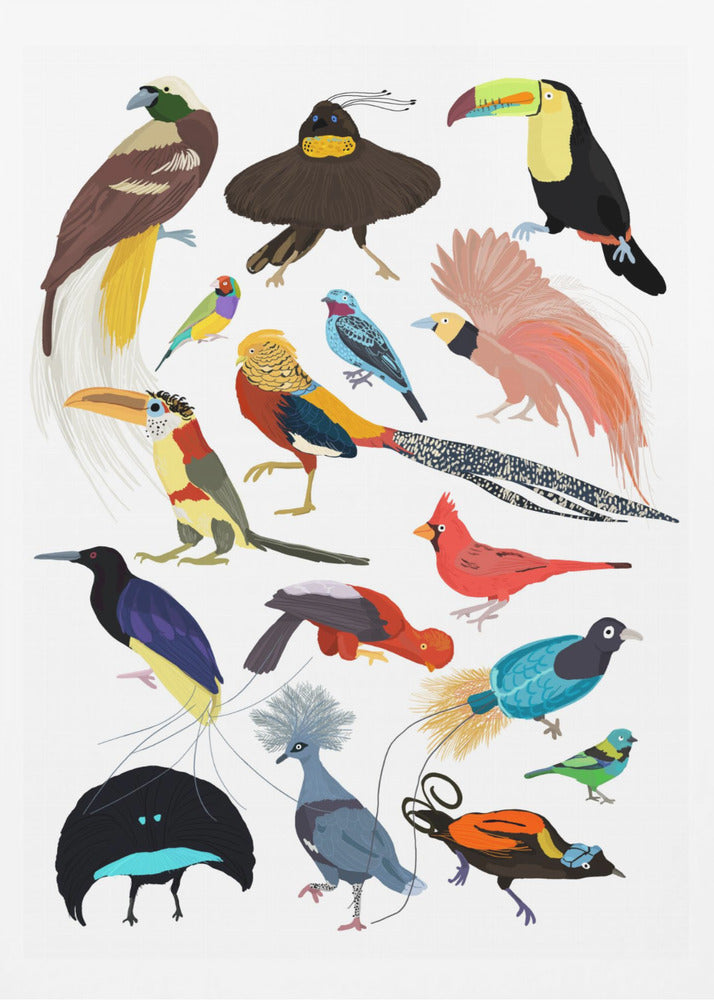 Birds of Paradise - Poster / Art Print