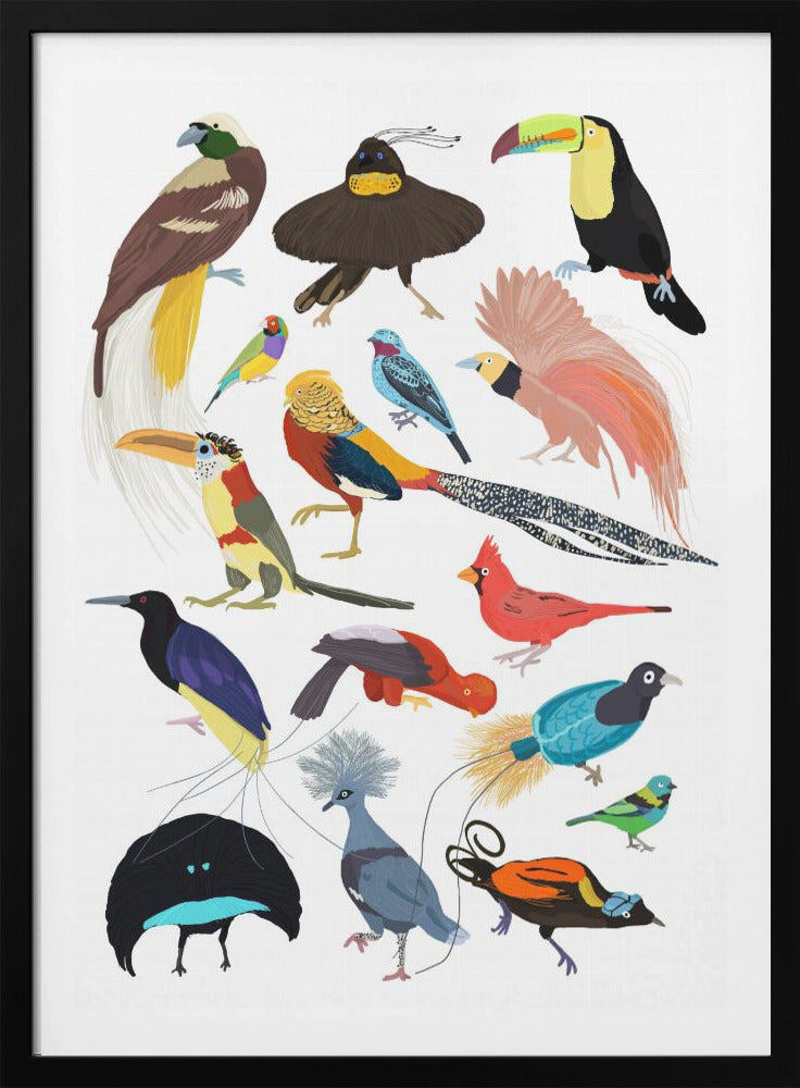 Birds of Paradise - Poster / Art Print
