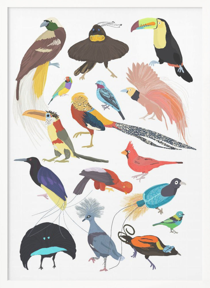 Birds of Paradise - Poster / Art Print