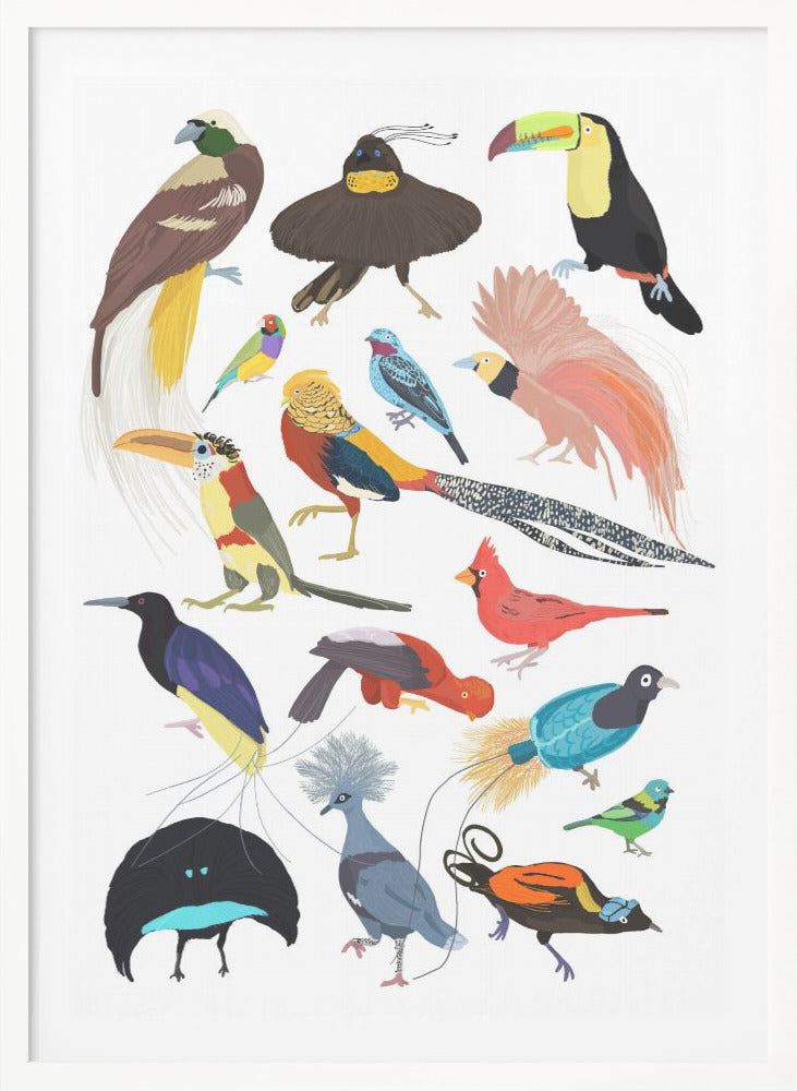 Birds of Paradise - Poster / Art Print