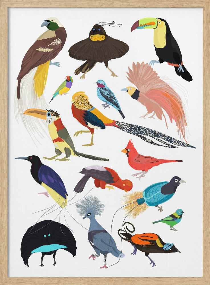 Birds of Paradise - Poster / Art Print
