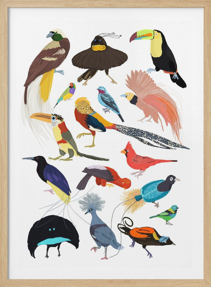 Birds of Paradise - Poster / Art Print