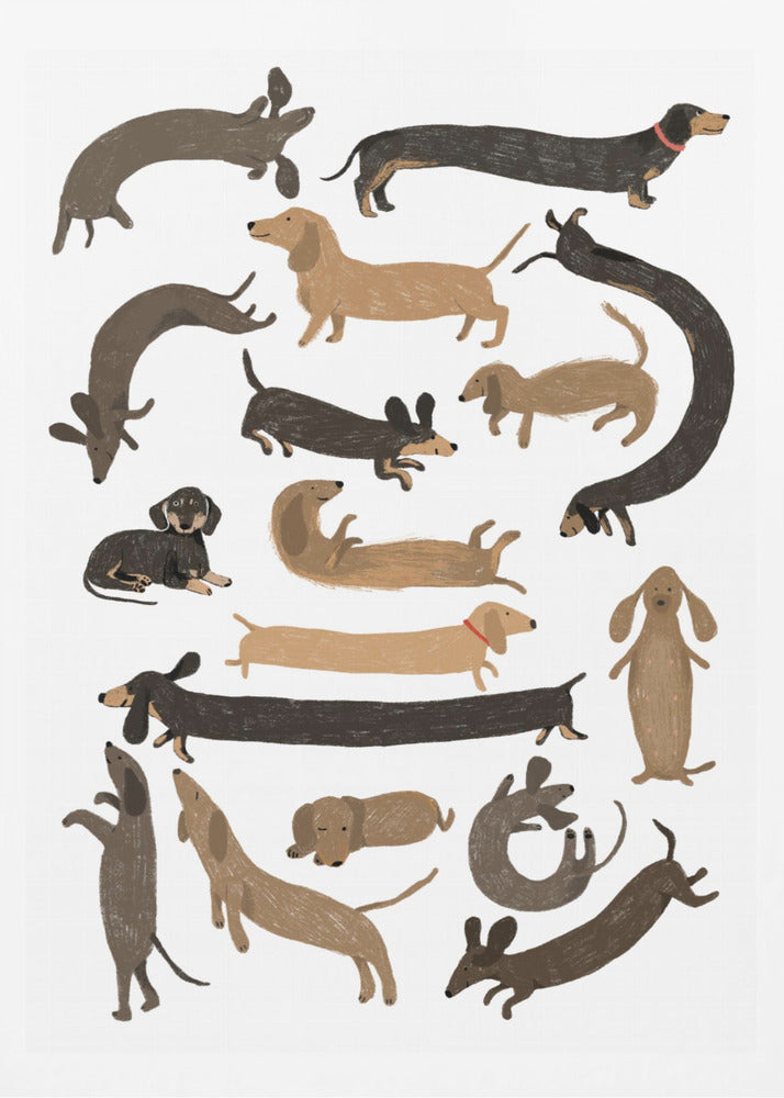 Dachshund Print - Poster / Art Print