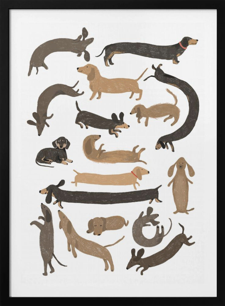 Dachshund Print - Poster / Art Print