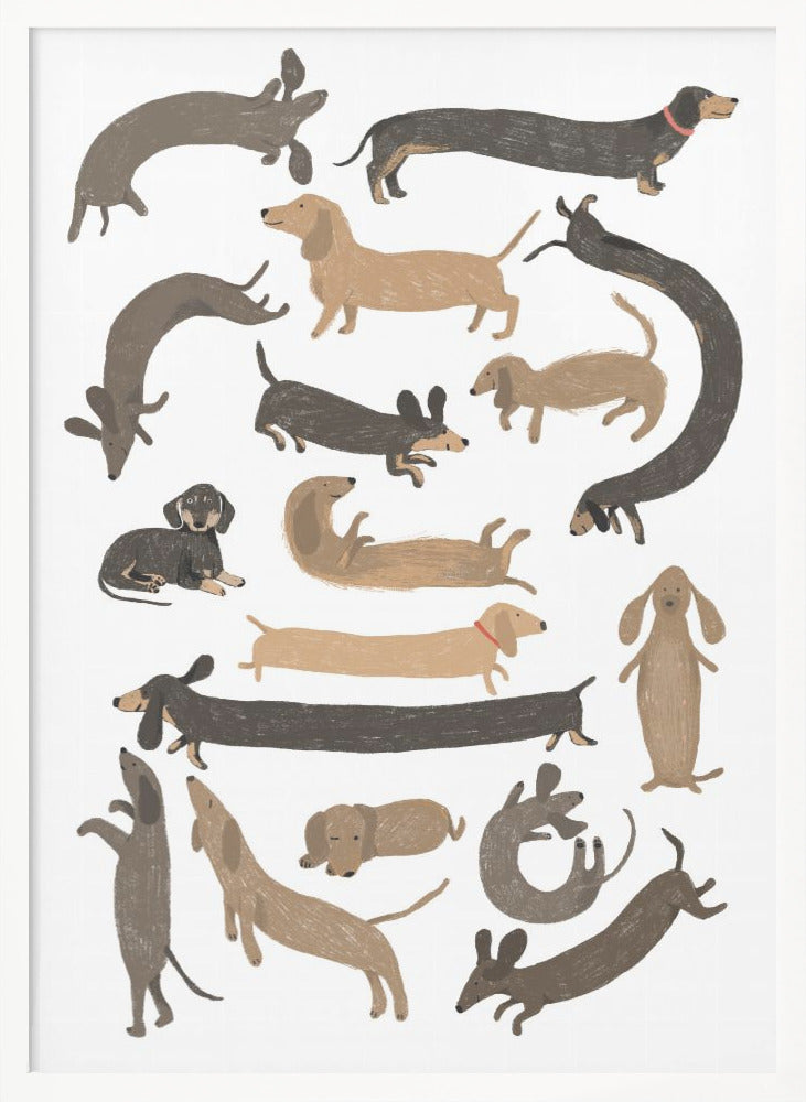 Dachshund Print - Poster / Art Print