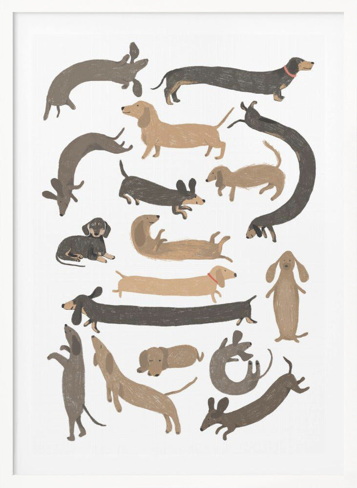 Dachshund Print - Poster / Art Print