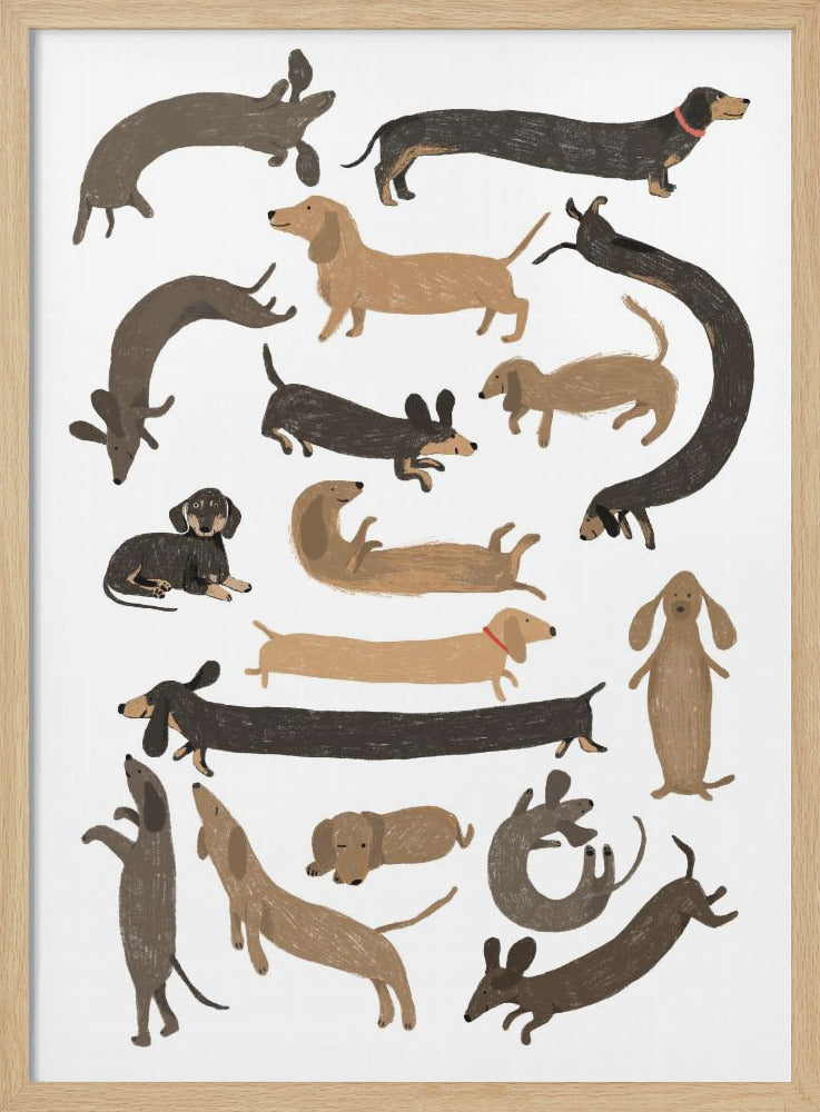 Dachshund Print - Poster / Art Print