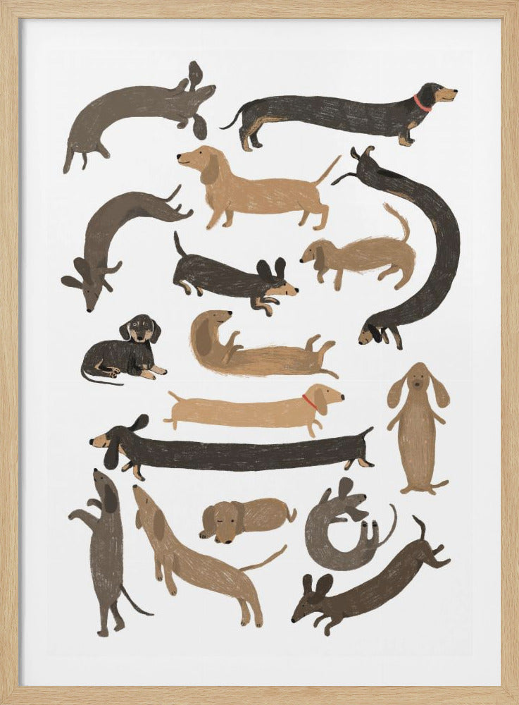 Dachshund Print - Poster / Art Print