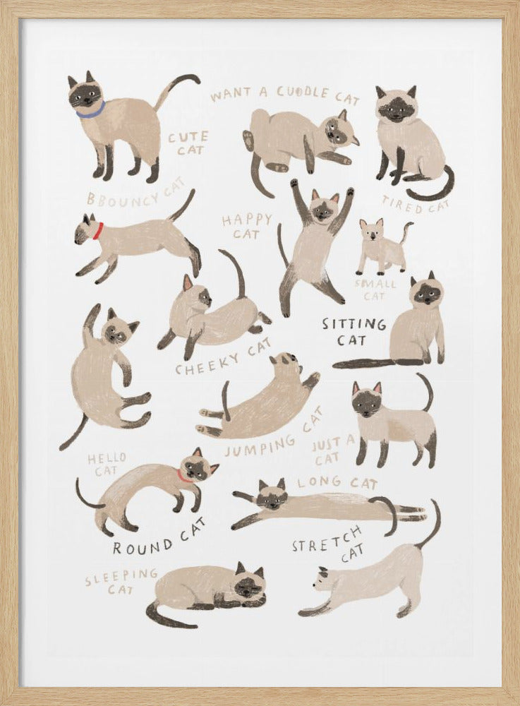 Siamese Cat Print - Poster / Art Print