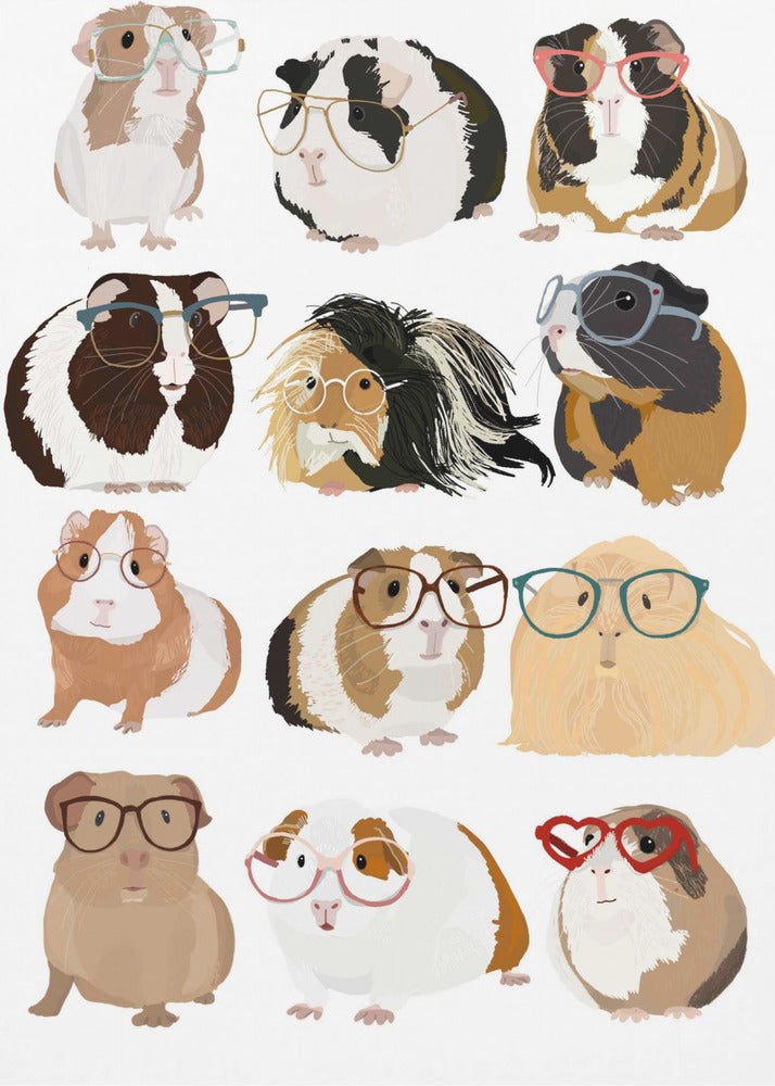 Guinea Pig in Glasses - Poster / Art Print