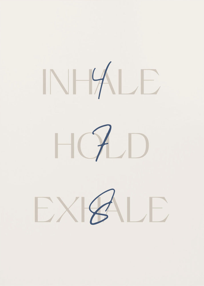 478 - Poster / Art Print