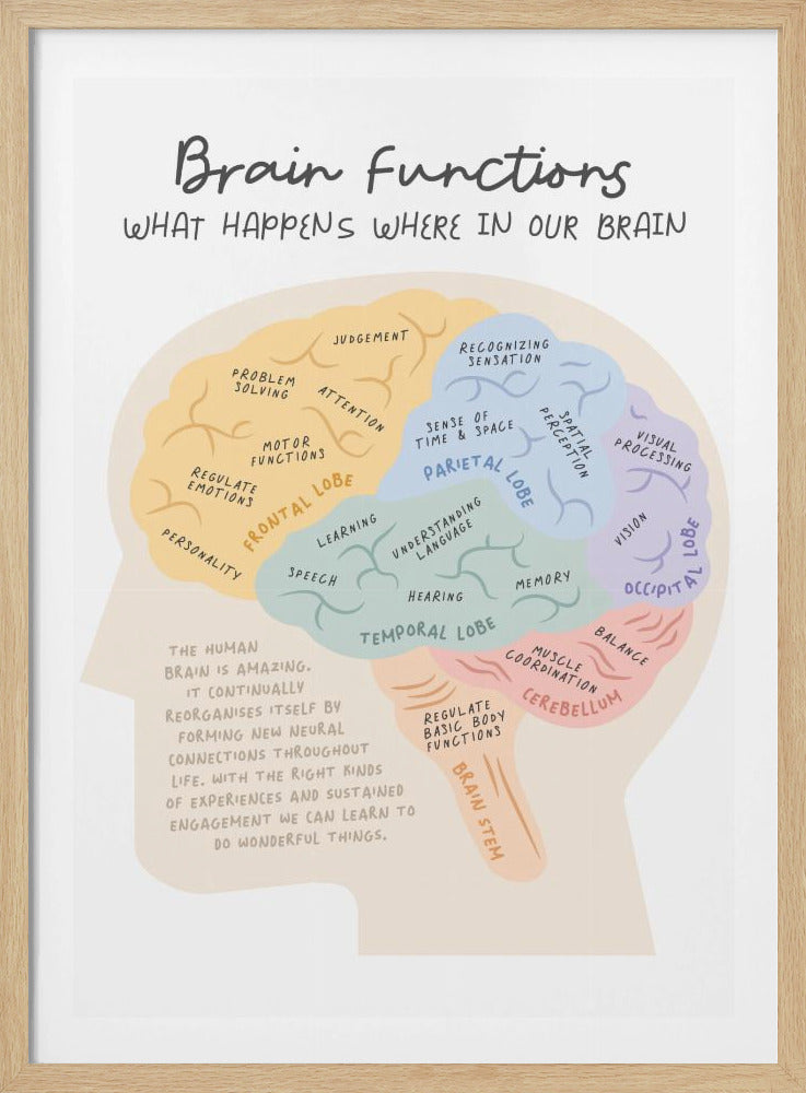 Brainfunctions - Poster / Art Print