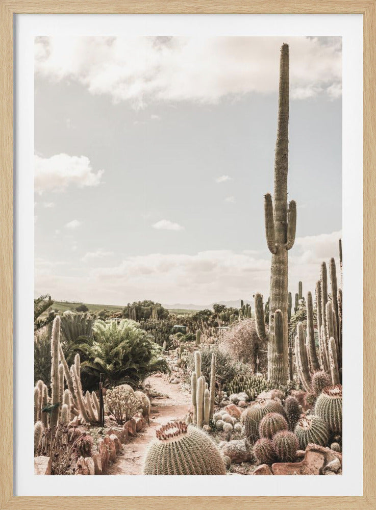 Catus Farm - Poster / Art Print