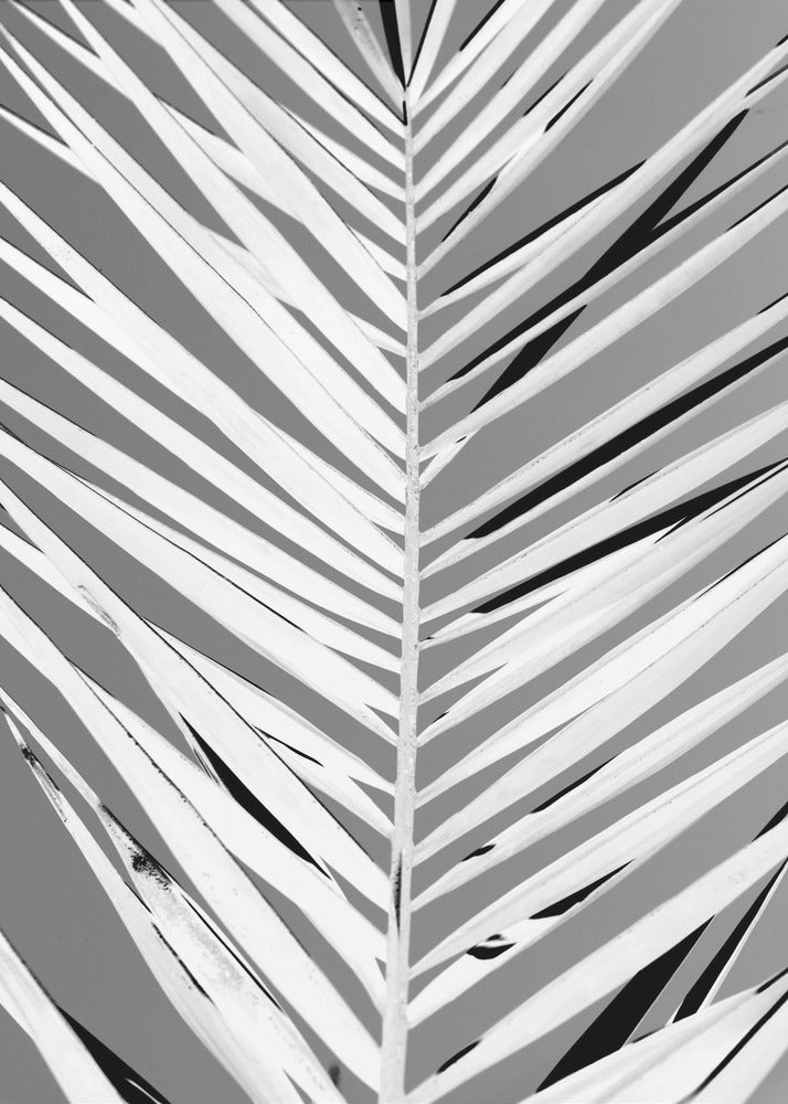Pattern - Poster / Art Print