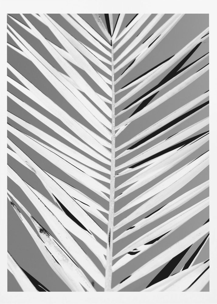 Pattern - Poster / Art Print
