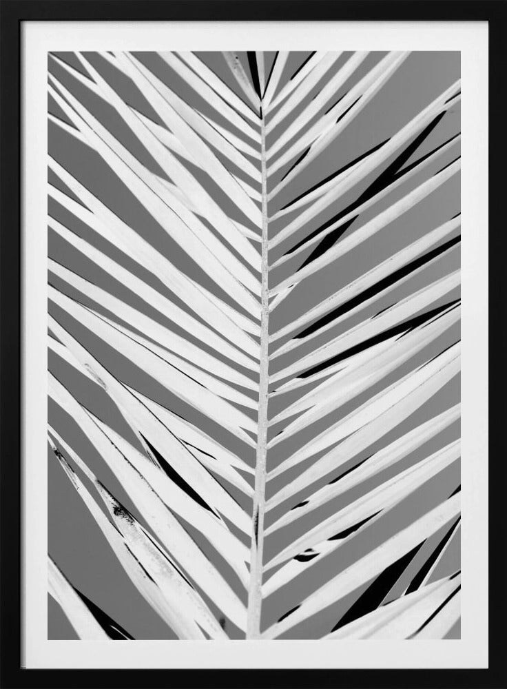 Pattern - Poster / Art Print