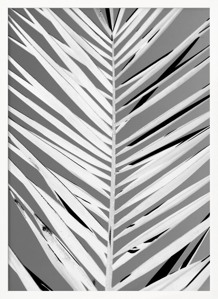 Pattern - Poster / Art Print