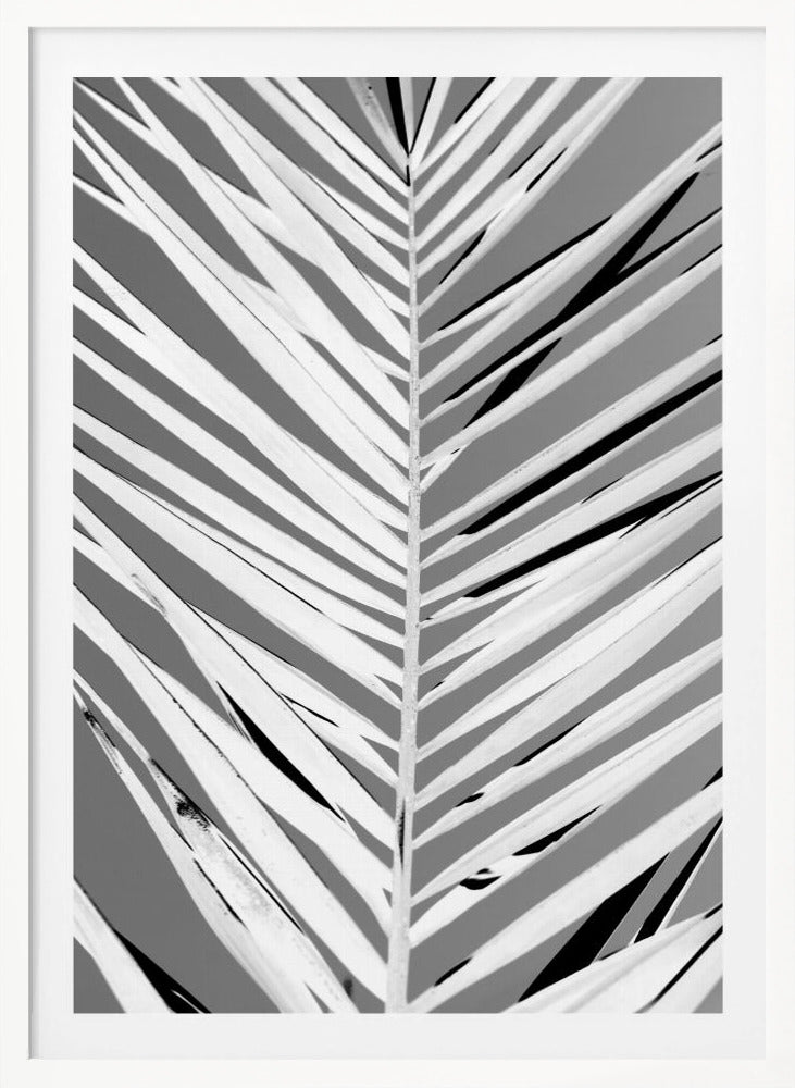 Pattern - Poster / Art Print