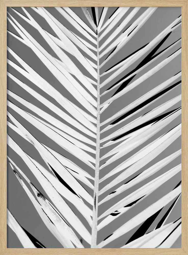Pattern - Poster / Art Print