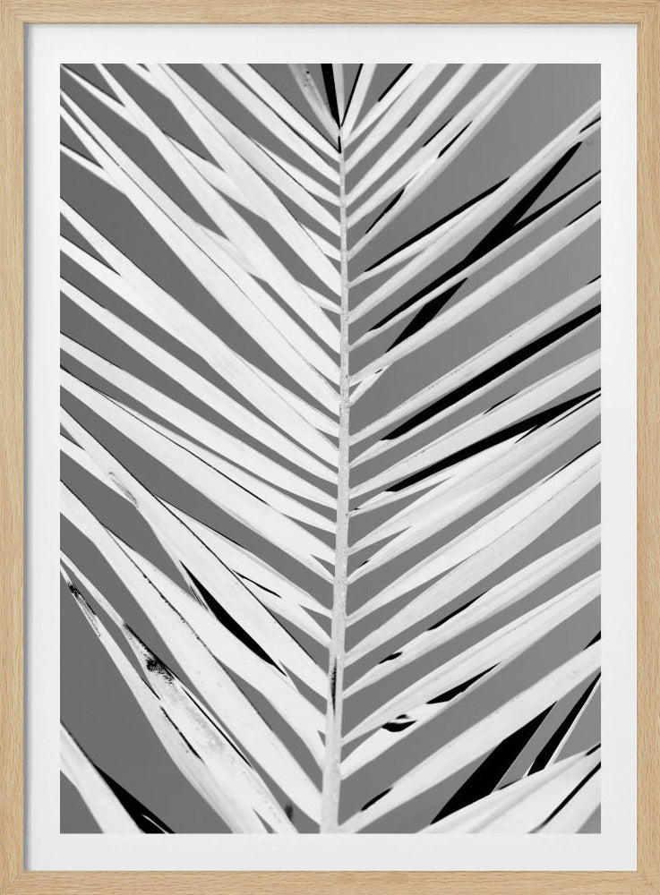 Pattern - Poster / Art Print