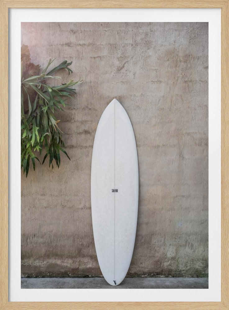Safari Twinfin - Poster / Art Print