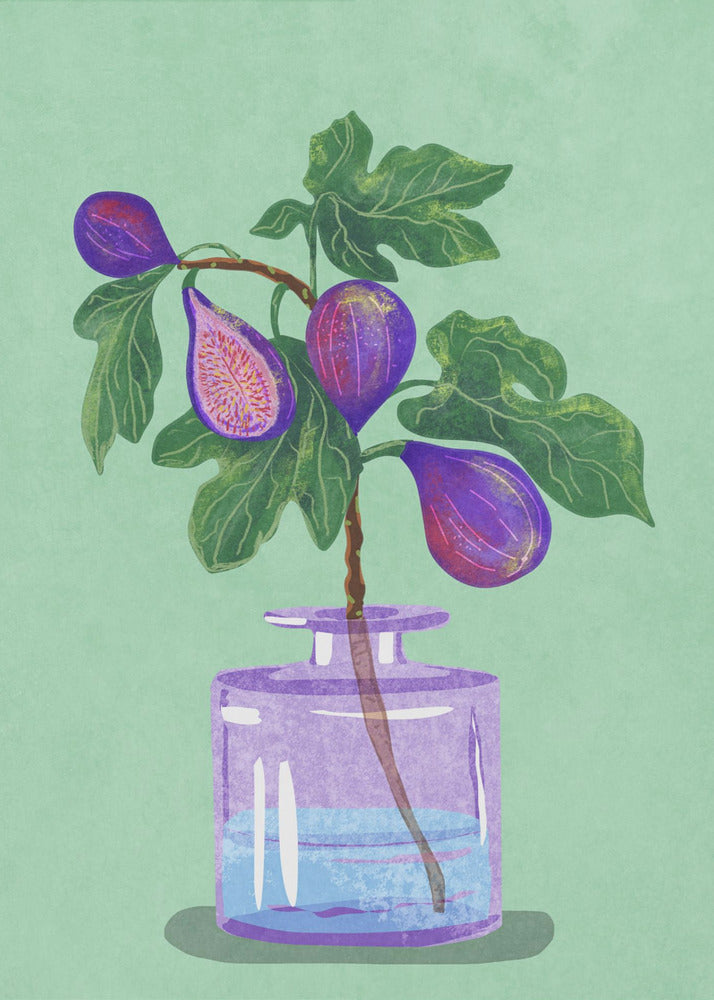 Figs Branch In Vase - Poster / Art Print