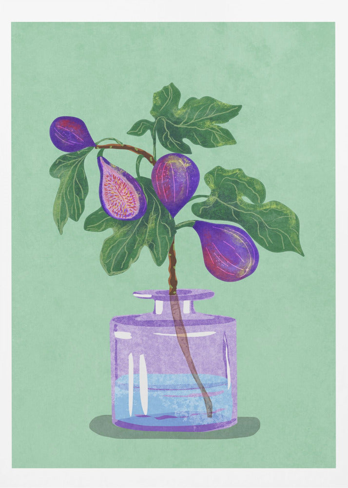 Figs Branch In Vase - Poster / Art Print