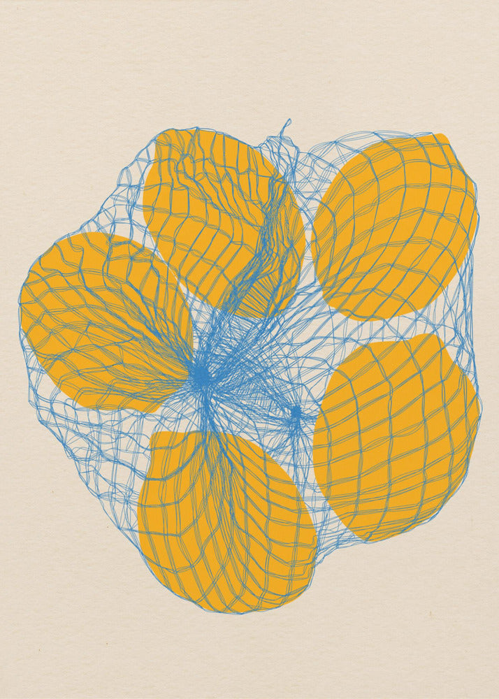 Five Lemons In a Net Bag - Poster / Art Print