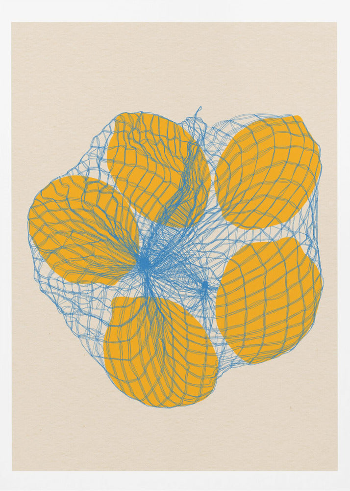 Five Lemons In a Net Bag - Poster / Art Print