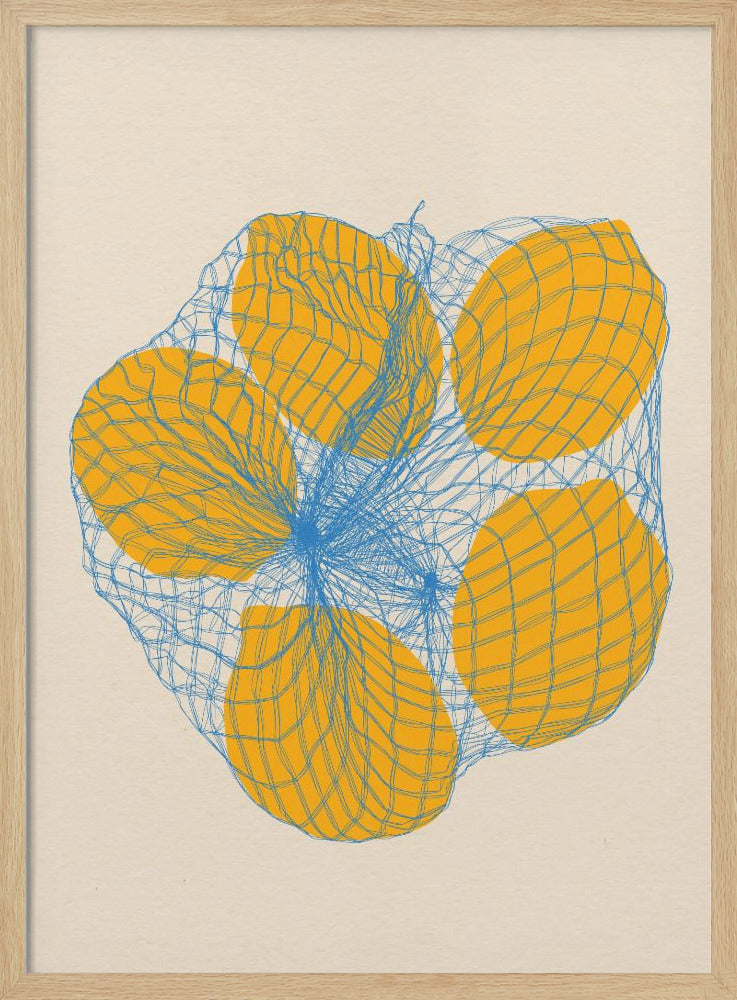 Five Lemons In a Net Bag - Poster / Art Print