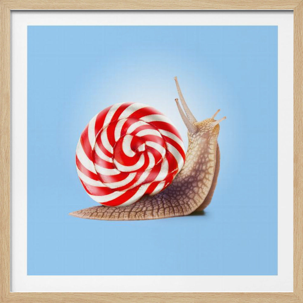 Snail Candy - Poster / Art Print