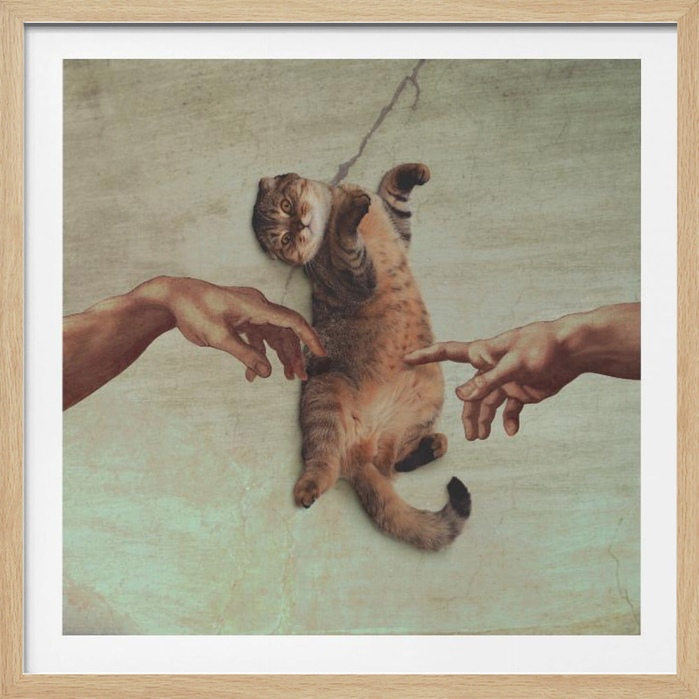 Touch of the Kitty - Poster / Art Print