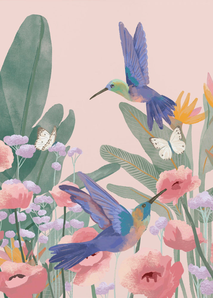 Hummingbirds - Poster / Art Print