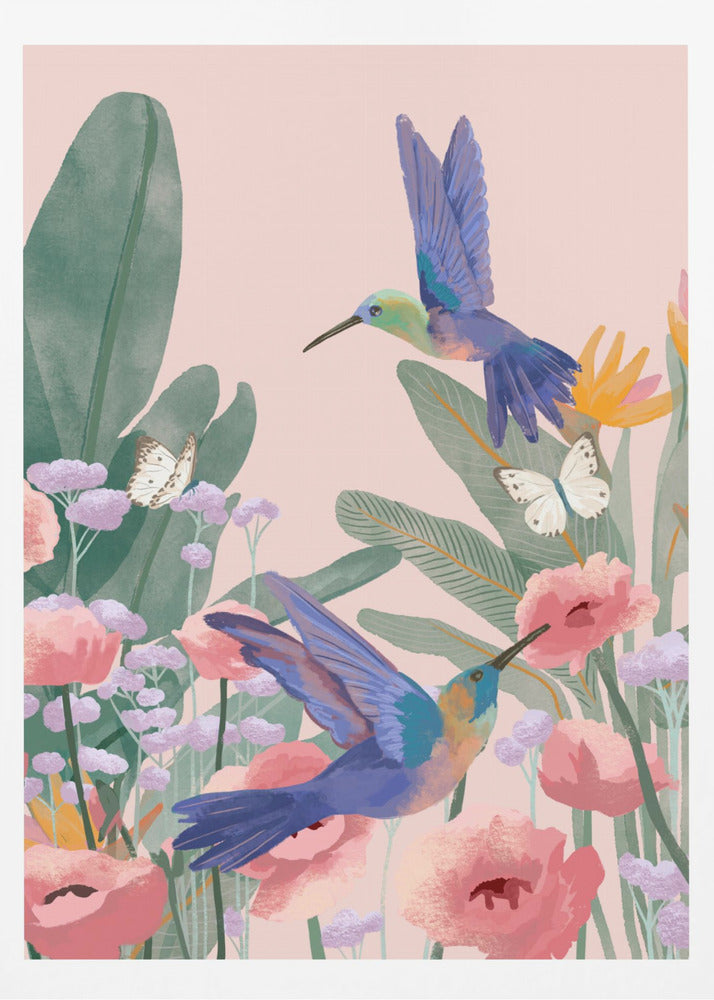 Hummingbirds - Poster / Art Print