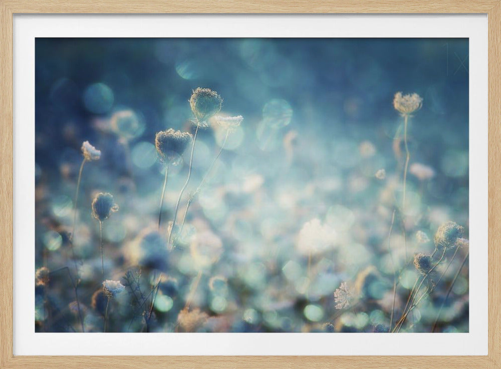 Diamonds - Poster / Art Print