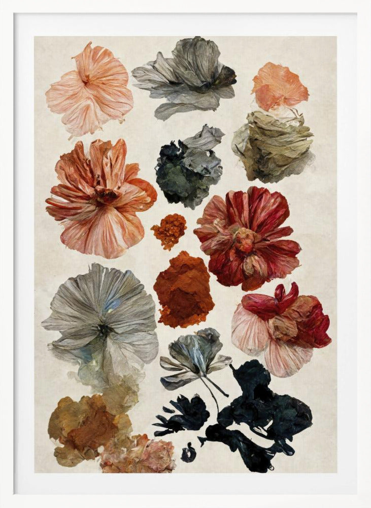 Dry Flower Collection - Poster / Art Print