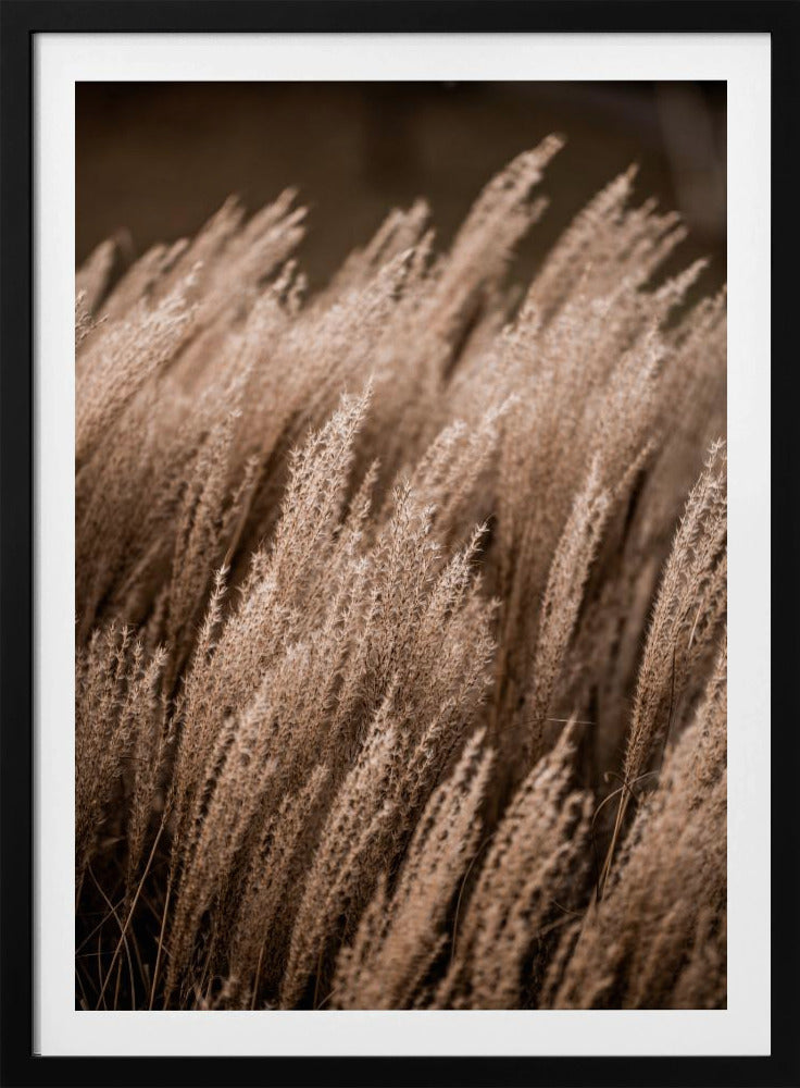 Grass 16 - Poster / Art Print