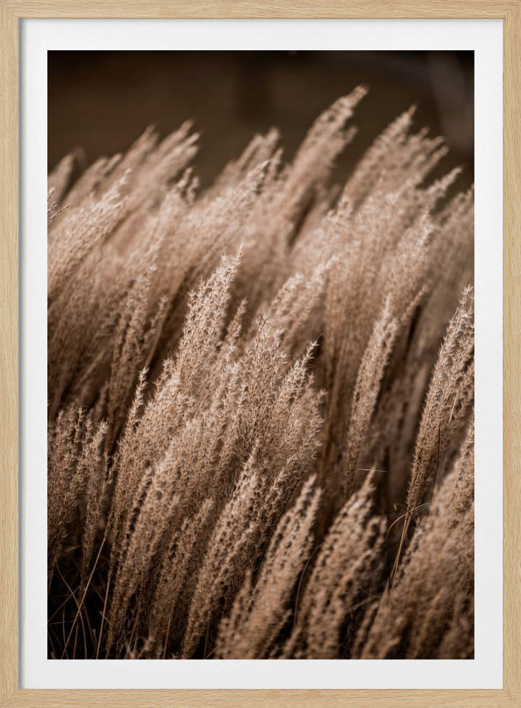 Grass 16 - Poster / Art Print