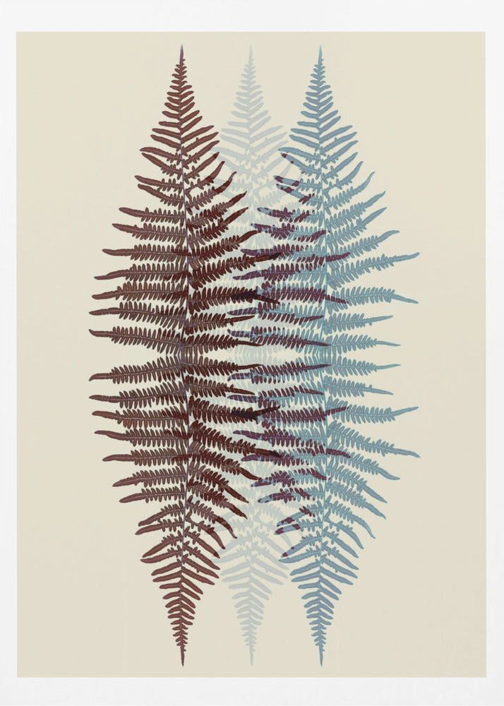 Chocolate and Teal Fern - Poster / Art Print