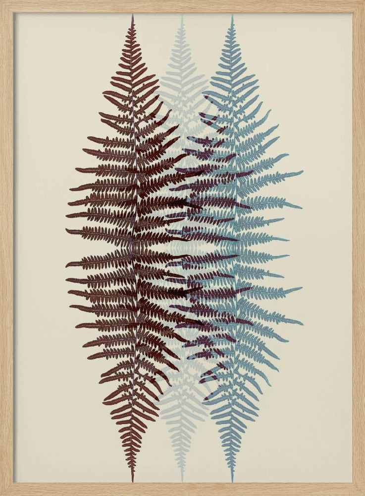 Chocolate and Teal Fern - Poster / Art Print