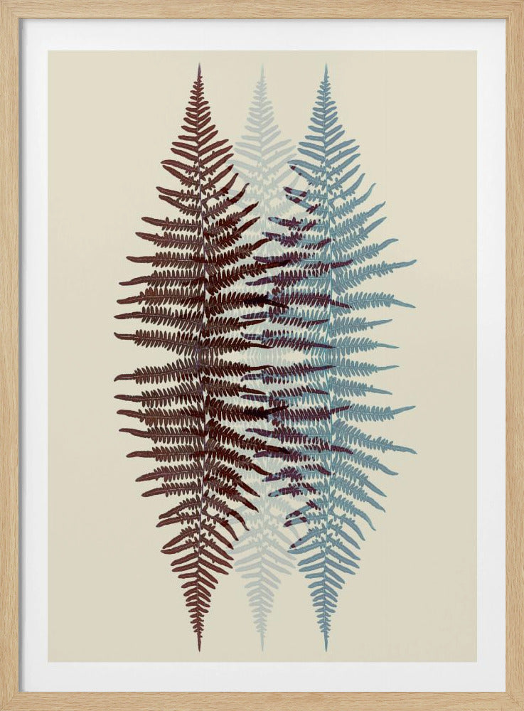 Chocolate and Teal Fern - Poster / Art Print