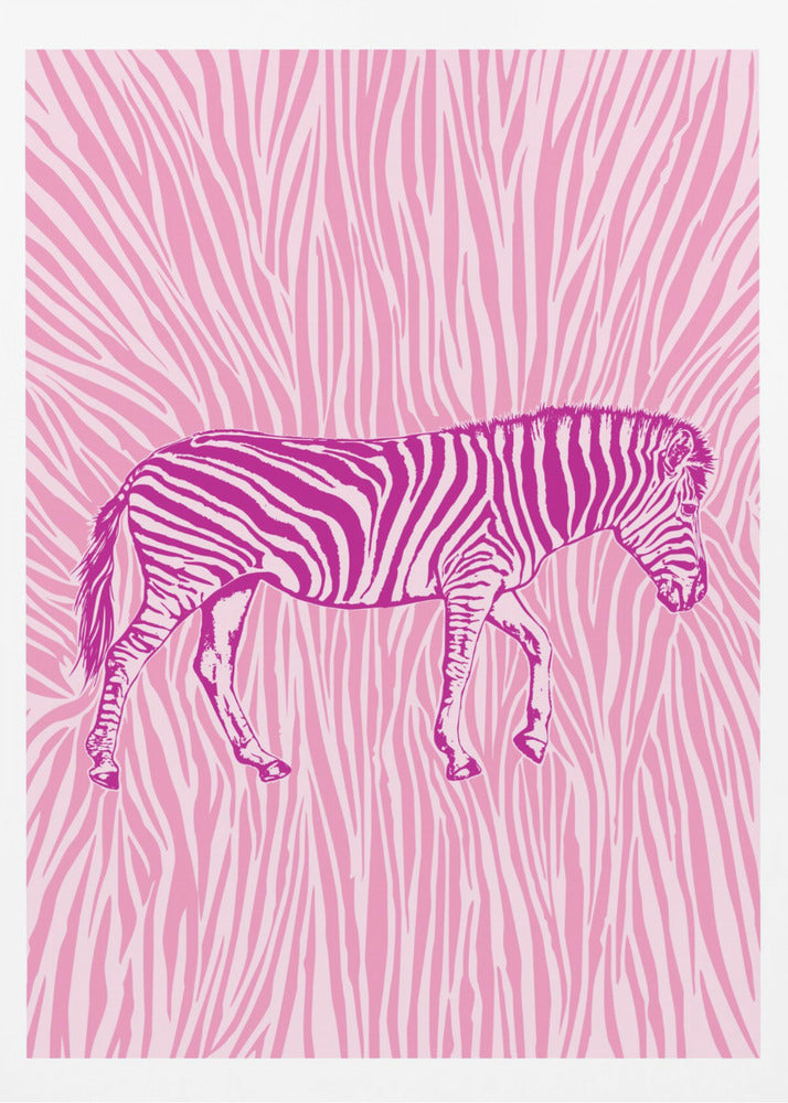 African Zebra striking camouflage - Poster / Art Print