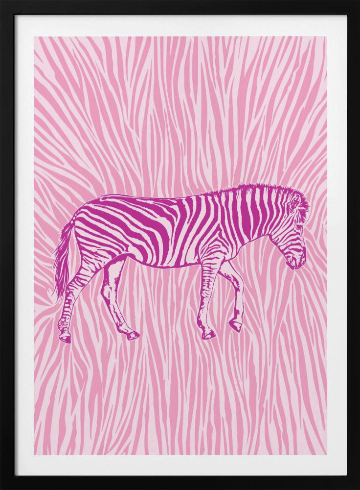African Zebra striking camouflage - Poster / Art Print